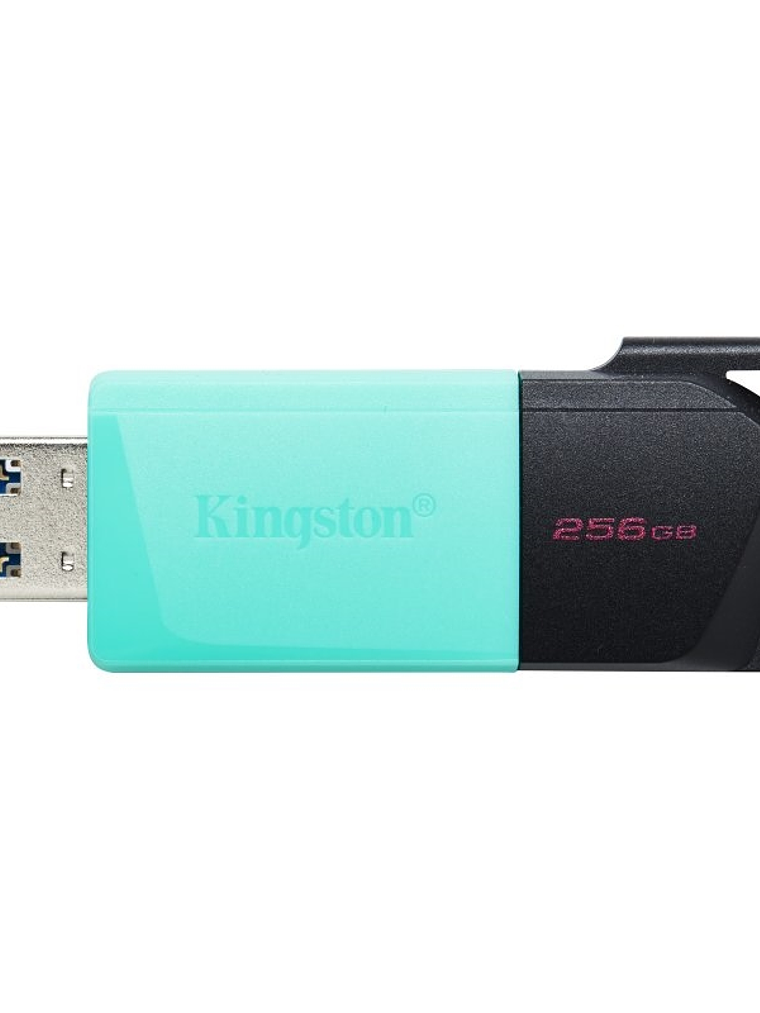 Kingston DataTraveler DTXM 256GB USB 3.2 Gen1 Turq 1