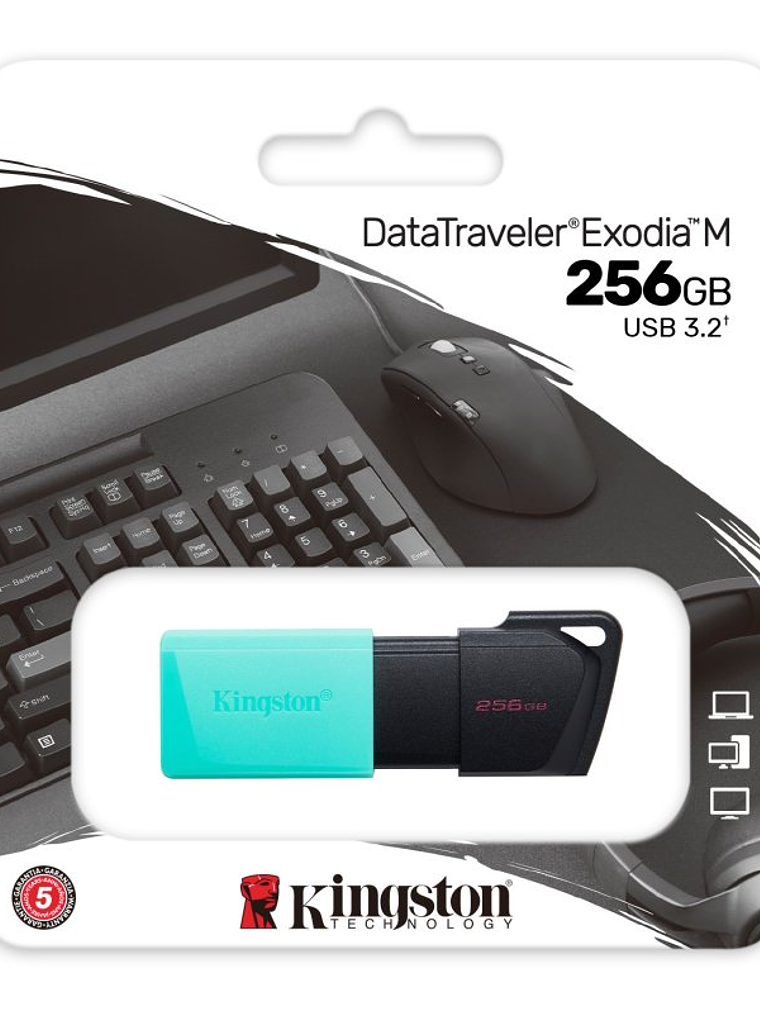 Kingston DataTraveler DTXM 256GB USB 3.2 Gen1 Turq 3