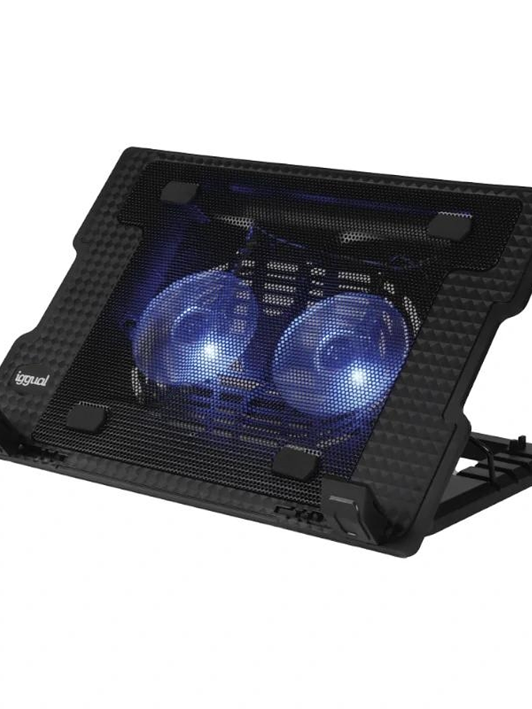 iggual Refrigerador portátil 2 ventiladors RP2V17A 1