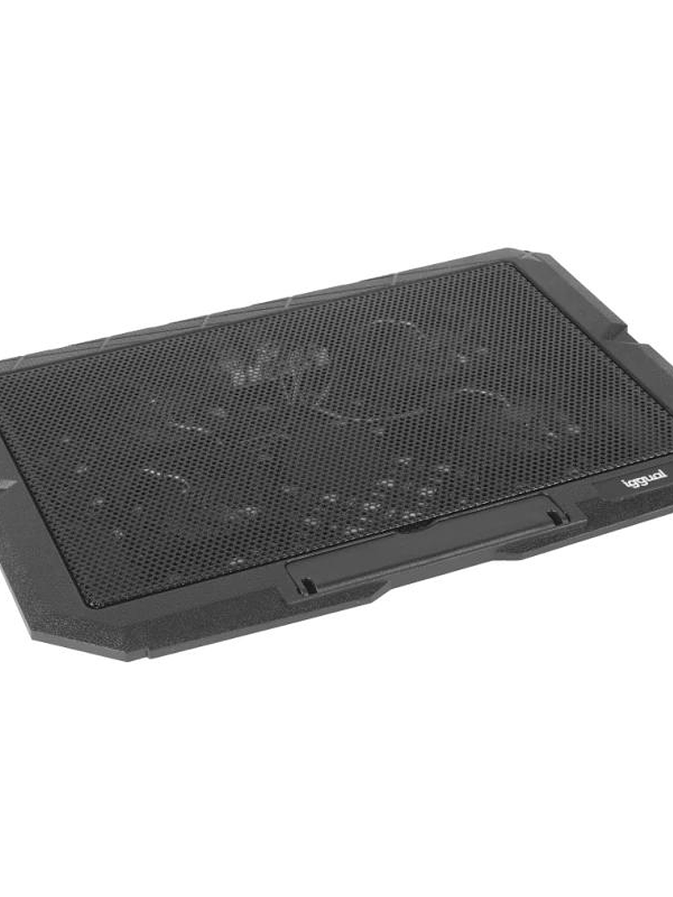 iggual Refrigerador portátil 4 ventiladores RP4V17 4