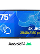 iggual Pantalla interactiva 4K ORCHID 75