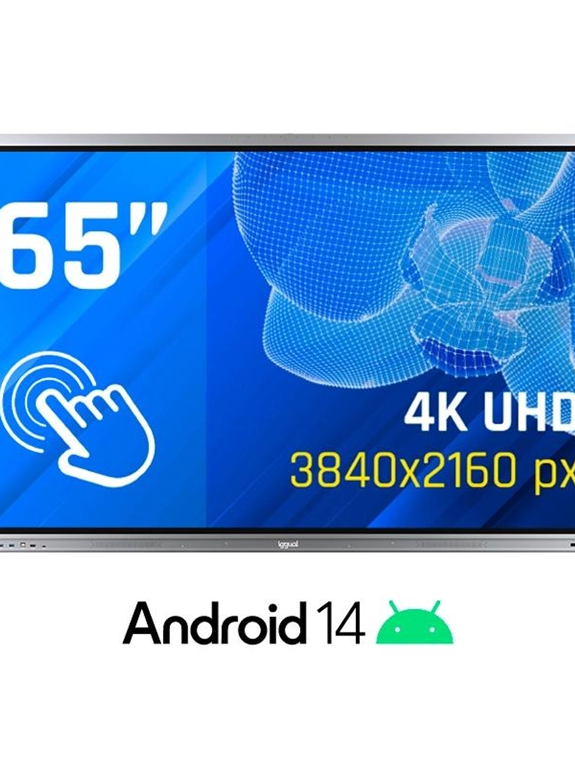 iggual Pantalla interactiva 4K ORCHID 65