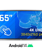 iggual Pantalla interactiva 4K ORCHID 65