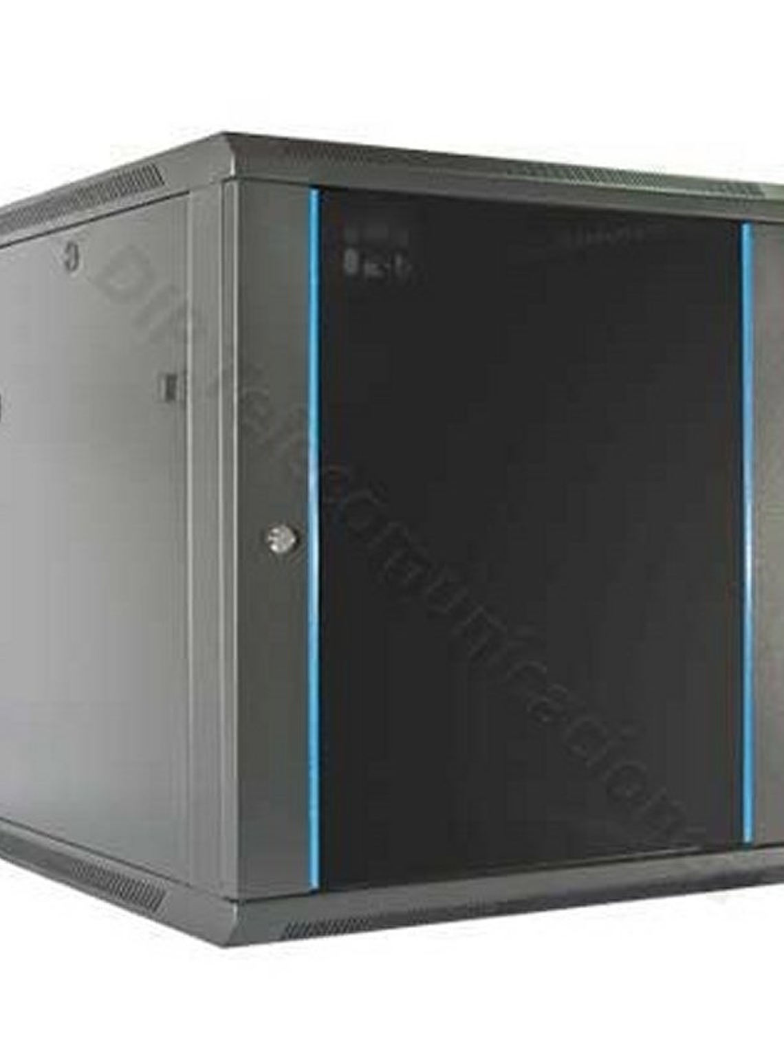 2LAN Armario Mural 12U 19