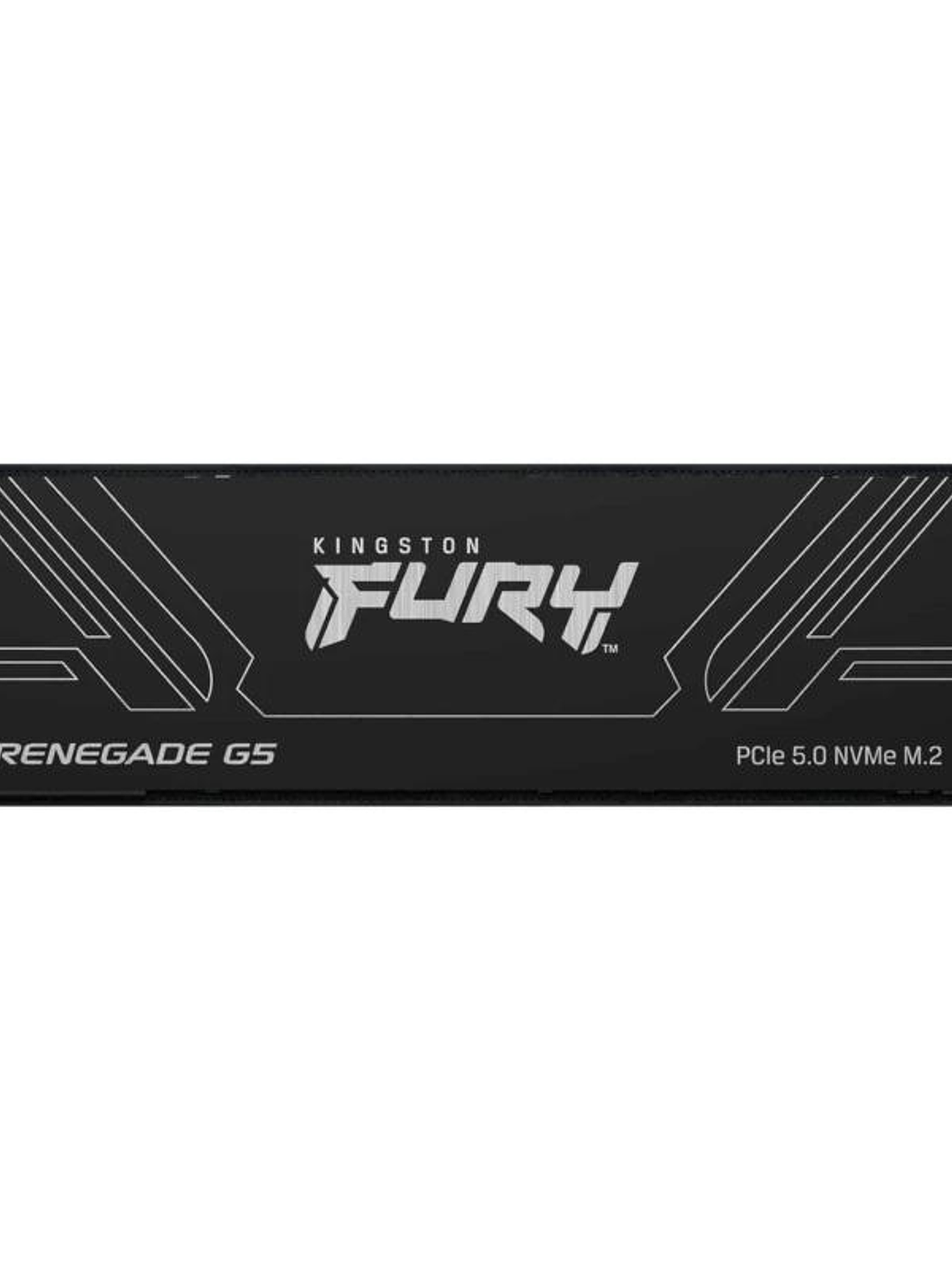 Kingston Fury Renegade G5 SSD 2TB PCIe5.0 14200M-s 1
