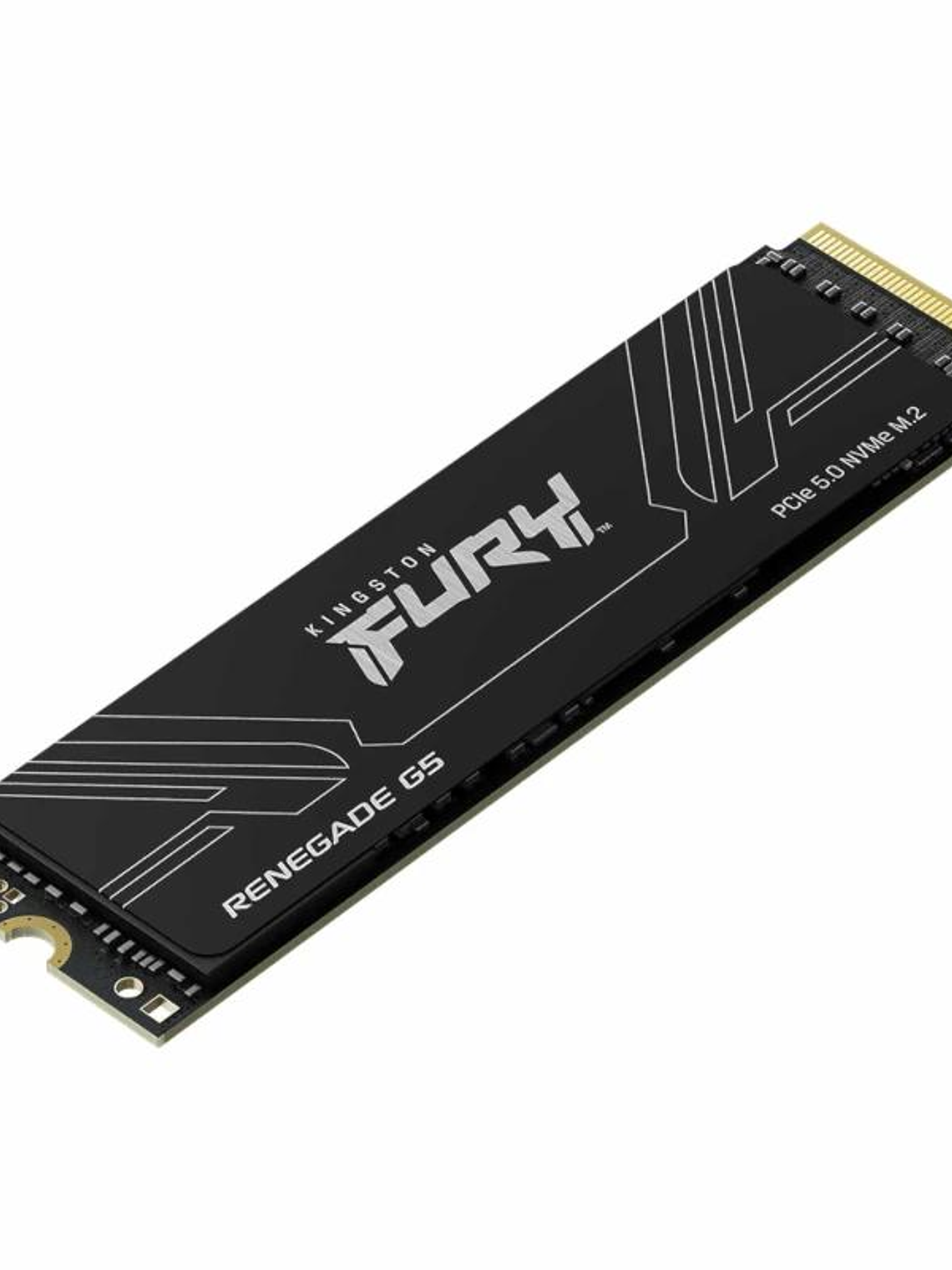 Kingston Fury Renegade G5 SSD 1TB PCIe5.0 14200M-s 2