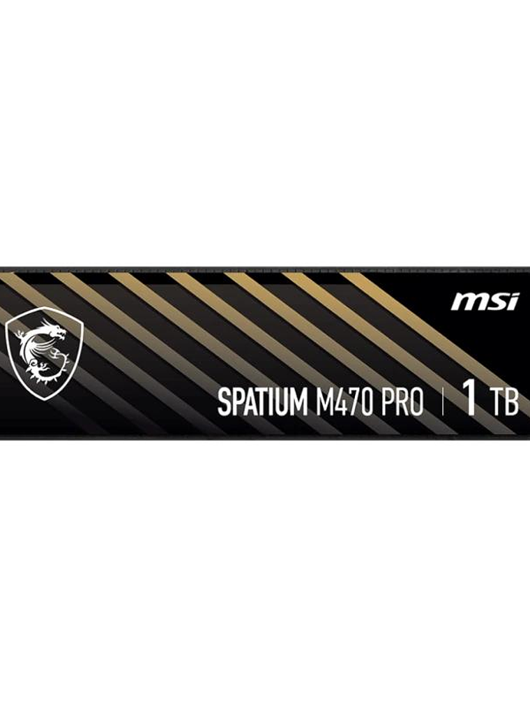 MSI SSD Spatium M470 Pro 1Tb PCIe 4.0 NVMe 6000Mbs 2