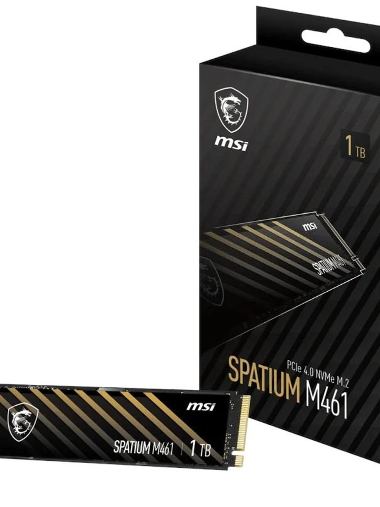 MSI SSD Spatium M461 1Tb PCIe 4.0 NVMe 5000 Mb-s 1