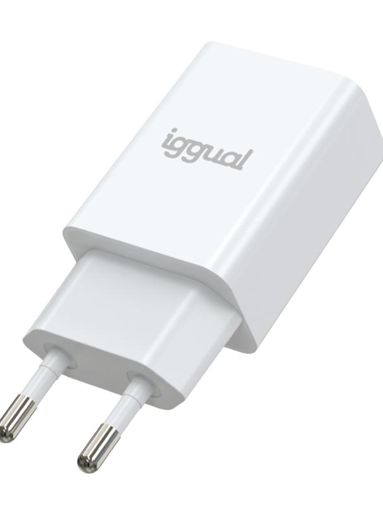 iggual Cargador de pared 1xUSB-A 5V/2A (10W) 2