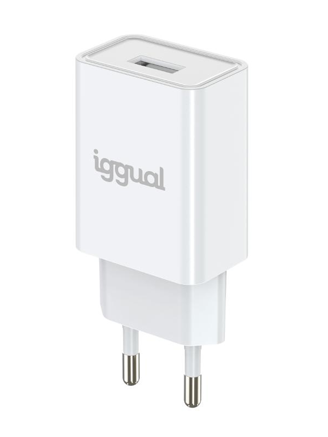 iggual Cargador de pared 1xUSB-A 5V/2A (10W) 3