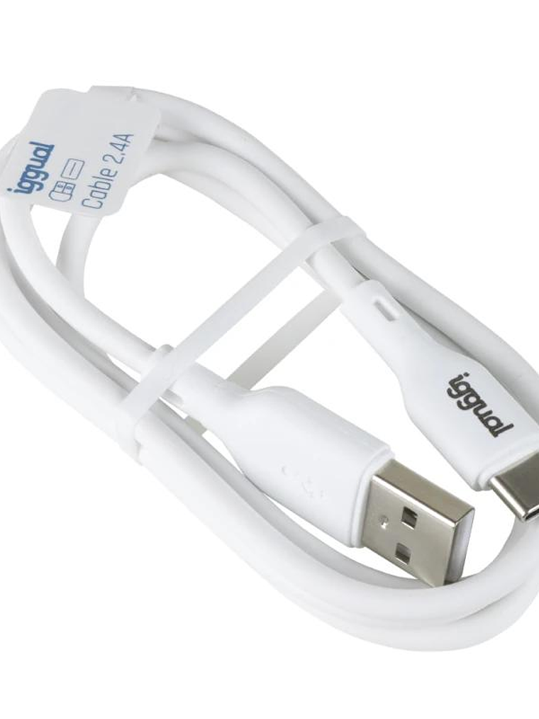 iggual cable USB-A/USB-C 100 cm blanco 2
