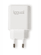 iggual Cargador rápido USB PD tipo C 20W - Miniatura 2