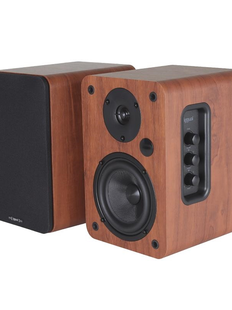 iggual Altavoces 2.0 50W Bluetooth 5.3 Home Studio 1