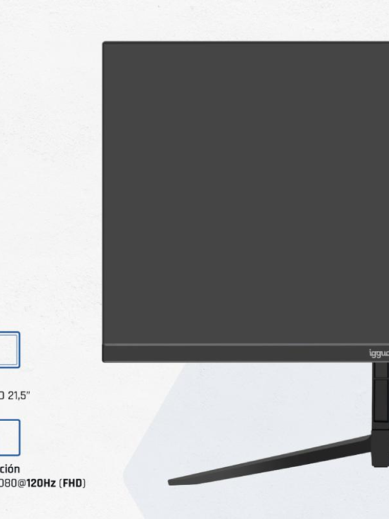 iggual Monitor 21,5