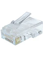 Gembird Conector RJ45 Cat.6 UTP Sólidos (50 Uds.) - Miniatura 1