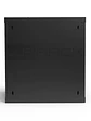 WP Armario Mural 12U RWA-12604 540x450x580mm - Miniatura 4