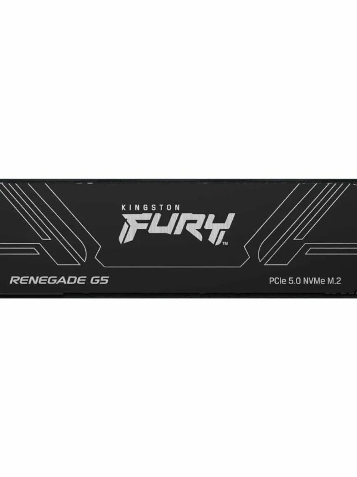 Kingston Fury Renegade G5 SSD 1TB PCIe5.0 14200M-s 1