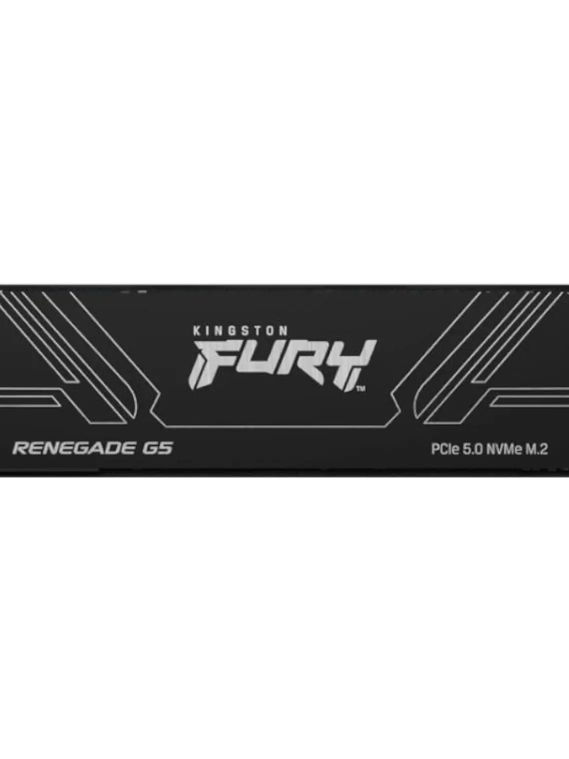 Kingston Fury Renegade G5 SSD 4TB PCIe5.0 14200M-s 2