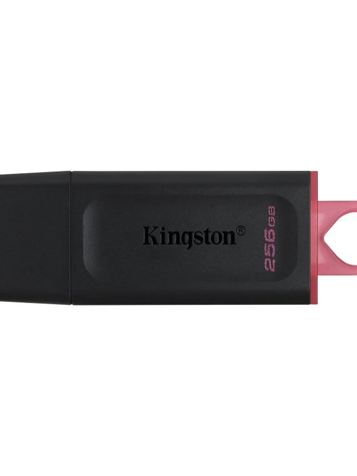 Kingston DataTraveler DTX 256GB USB 3.2 Gen1 Negro 1
