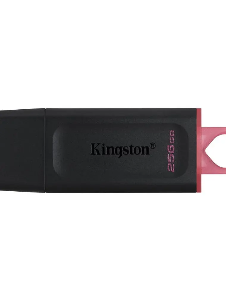 Kingston DataTraveler DTX 256GB USB 3.2 Gen1 Negro 1