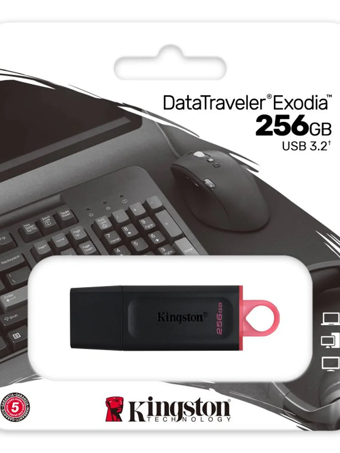 Kingston DataTraveler DTX 256GB USB 3.2 Gen1 Negro 3