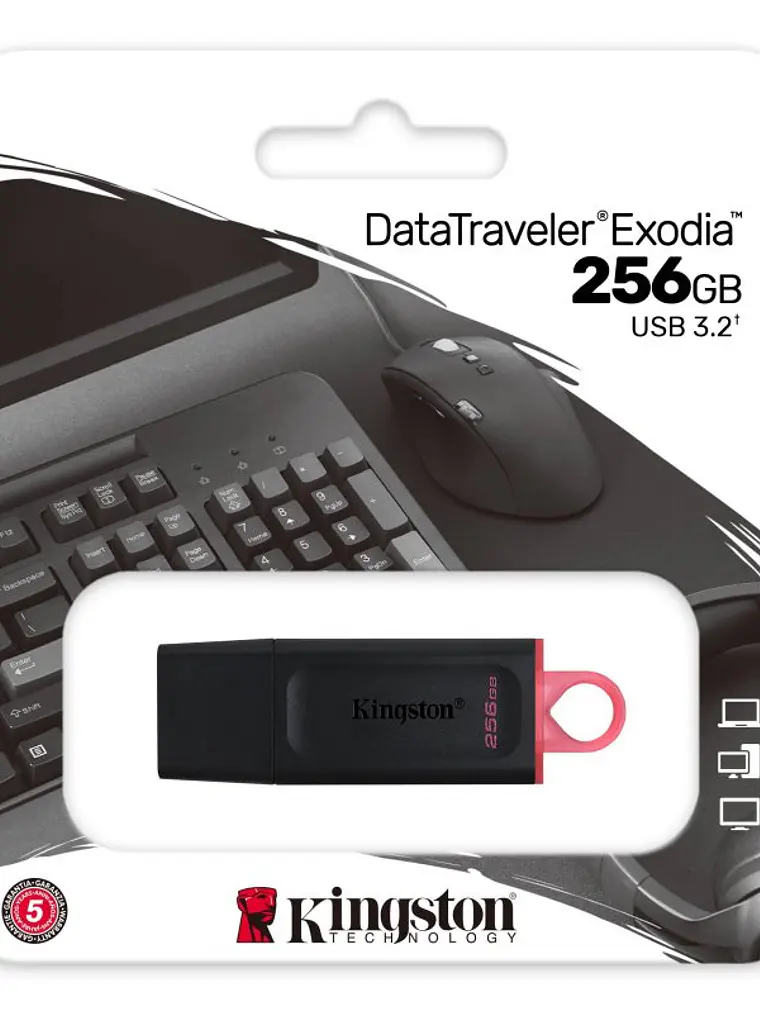 Kingston DataTraveler DTX 256GB USB 3.2 Gen1 Negro 3