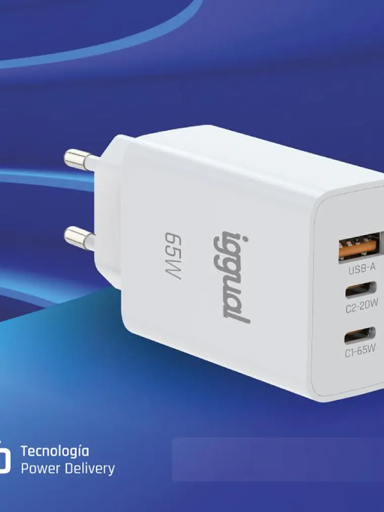iggual Cargador triple USB-A + 2 x tipo C GaN 65W 2
