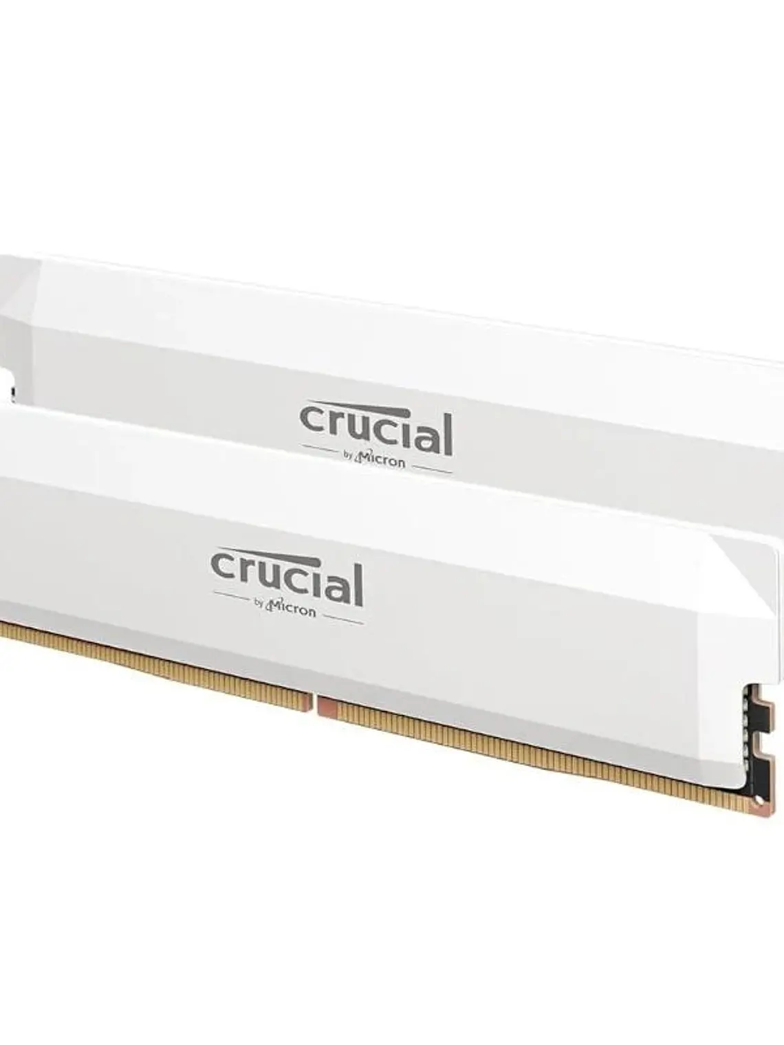 Crucial PRO CP2K16G64C38U5W 32GB(16x2) DDR5-6400 W 1