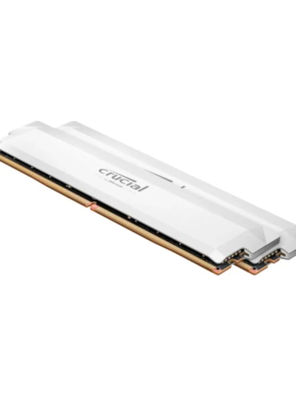 Crucial PRO CP2K16G60C36U5W OC 32G(16x2) DDR5 6000 1