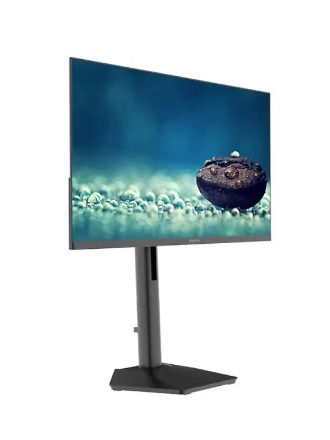 Approx APPM24SBV4 Monitor24