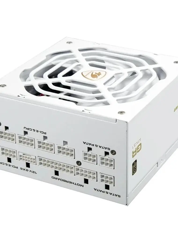 Cougar Fuente Alimentación GR 1000 Snow 80+ Gold 1