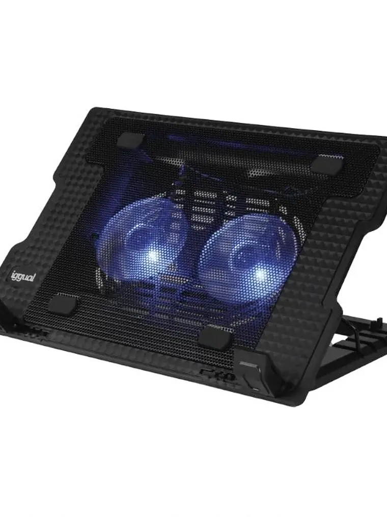iggual Refrigerador portátil 2 ventiladors RP2V17A 1