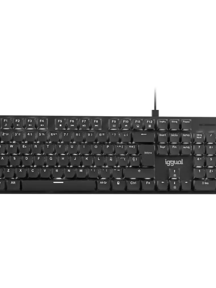 iggual Teclado USB mecánico CK-MECHA-105T negro 1