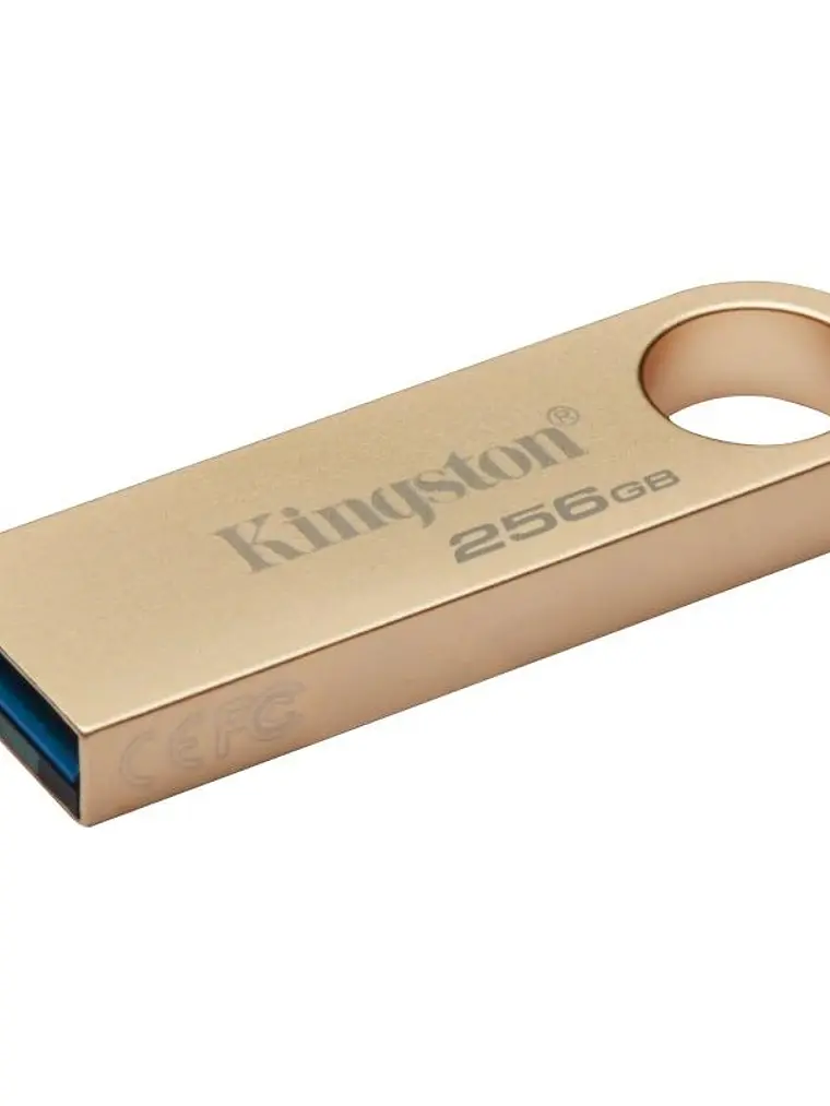 Kingston DataTraveler SE9 G3 256GB USB 3.2 Gen1 1