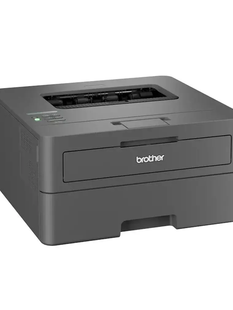 Brother Impresora Laser HL-L2445DW 3