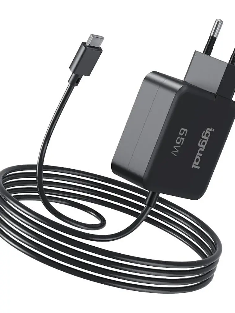 iggual Cargador portátil y móvil tipo C PD 65W 1