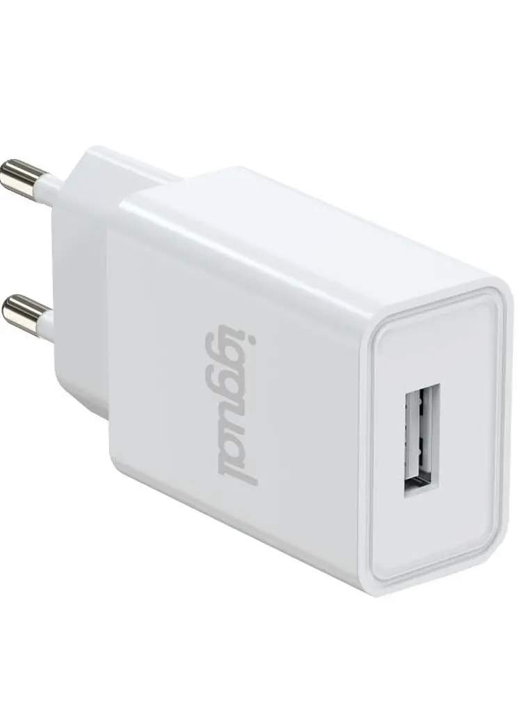 iggual Cargador de pared 1xUSB-A 5V/2A (10W) 1