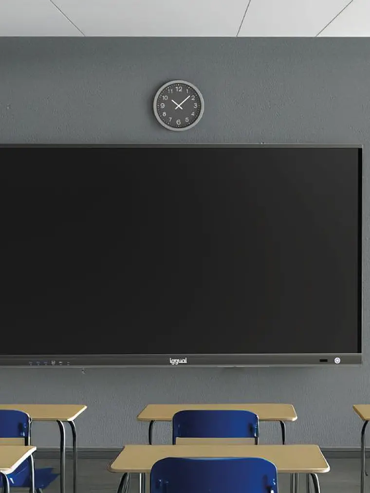 iggual Pantalla interactiva 4K ORCHID 65