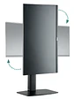 EWENT EW1537 Soporte Resorte de Gas  monitor 34
