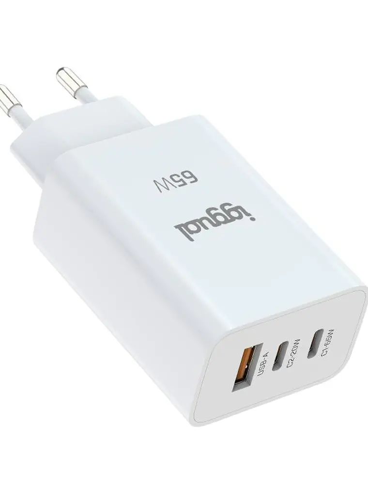 iggual Cargador triple USB-A + 2 x tipo C GaN 65W 2