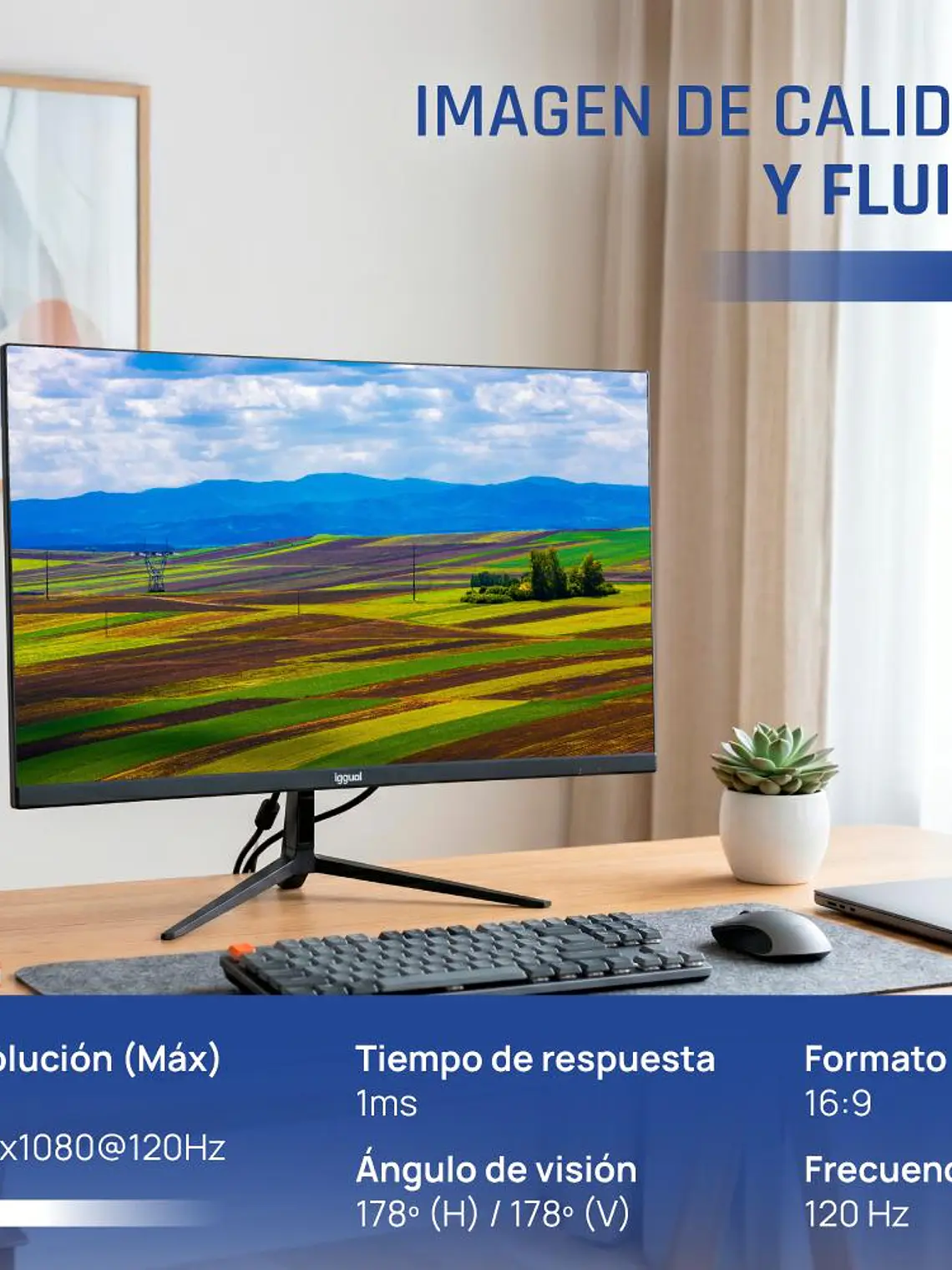 iggual Monitor 24