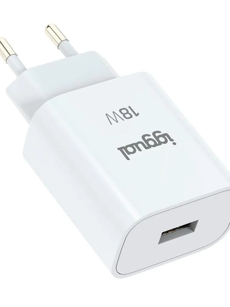 iggual Cargador 1xUSB-A carga rápida QC3.0 18W 1