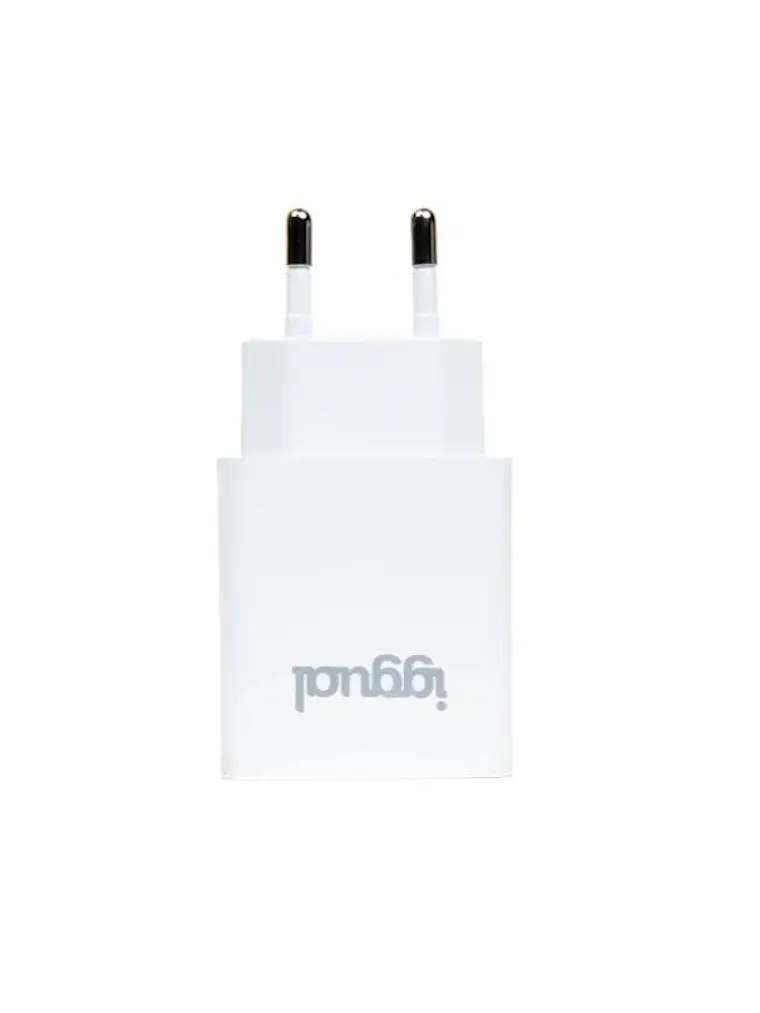 iggual Cargador rápido de pared USB PD tipo C 30W 2