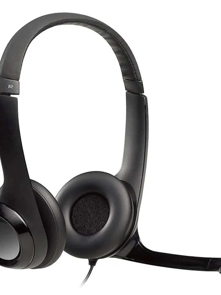 Logitech Auricular+Mic H390 USB Negro 1