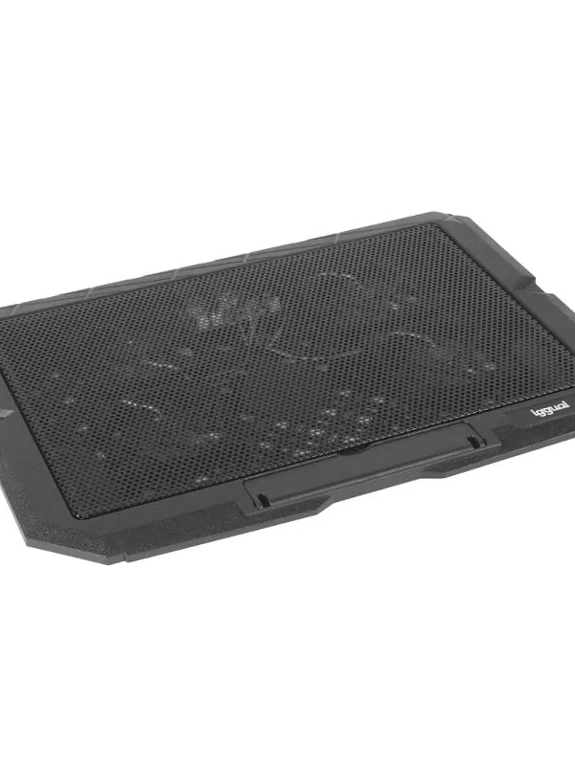 iggual Refrigerador portátil 4 ventiladores RP4V17 4