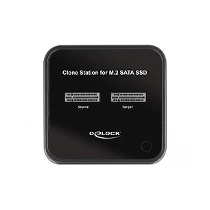 Delock Dockstation M.2 Negro