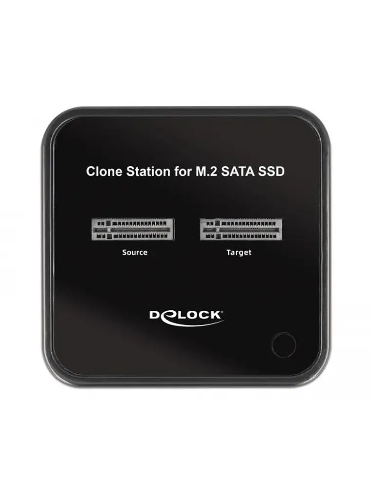 Delock Dockstation M.2 Negro 1