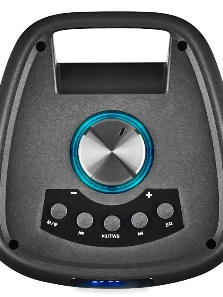 NGS Altavoz PORT WILDBANGER2  BT 160W 4H 2