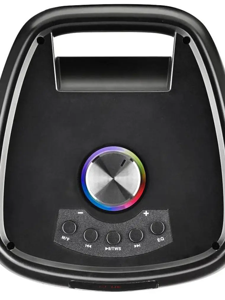 NGS Altavoz PORT WILDBANGER3 BT 160W 4H 2