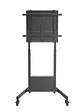 Ewent Carro TV Ajus. Altura  pantalla 60-100